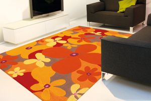 Teppich Amazonas 143001 Orange