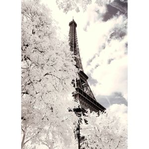 Leinwand DD123113 White Paris A.S. Création