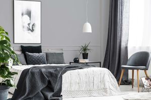 PURO Premium "C1002 Cool Grey"