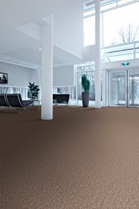 Desso Essence "2921"