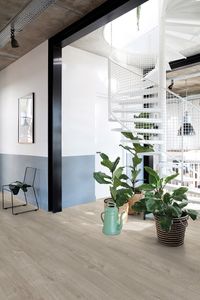 Quick-Step Livyn Pulse Click "PUCL40105 Eiche Baumwolle warmes grau"
