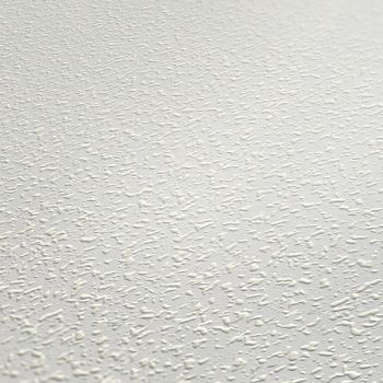 Deckentapete zum Überstreichen in Raufaser-Optik | B104113