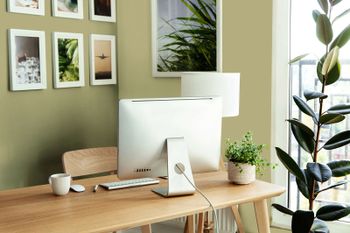 The Color Kitchen Wandfarbe Grün Beige | TCK4010