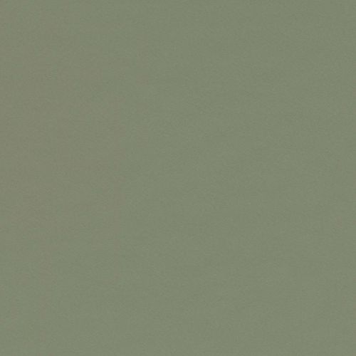 Forbo Desktop Linoleum "4184 Olive"