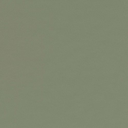 Forbo Desktop Linoleum "4184 Olive"