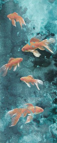 Komar Fische | 59,62 x 100 cm