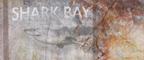 Fototapete SharkBay DD108945 A.S. Création AP Digital 4