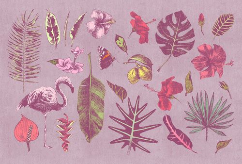 Fototapete tropicana 1 DD110986 Livingwalls Walls by Patel
