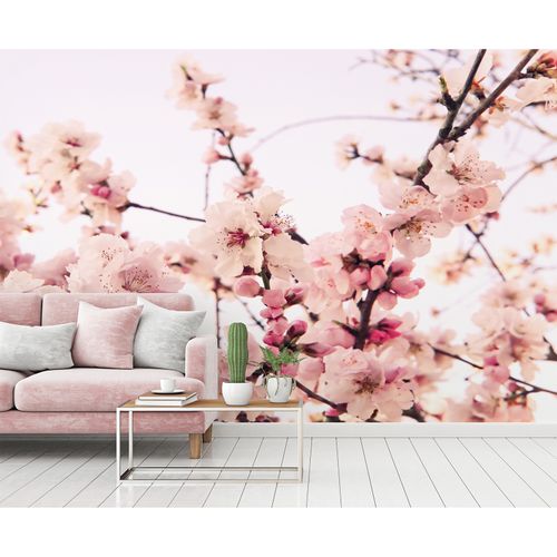Fototapete CherryBlossom DD115073 A.S. Création XXL 5