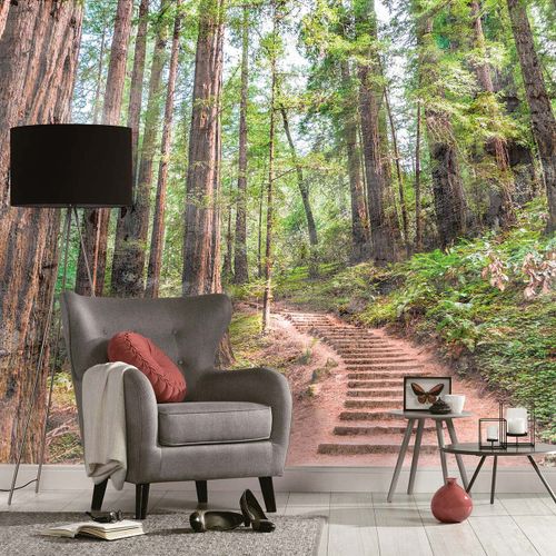 Fototapete Waldweg Grün Braun | 3,50 x 2,55 m