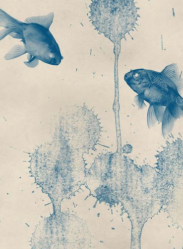 Fototapete Blue Fish DD119134 A.S. Création Designwalls