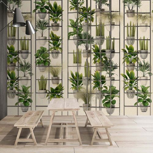 Walls by Patel 3 Fototapete "Plantshop 2" DD122088