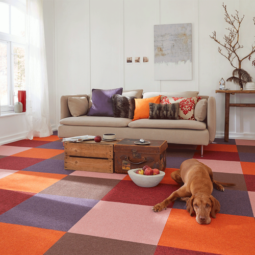 Tretford Interland "585 Orange"