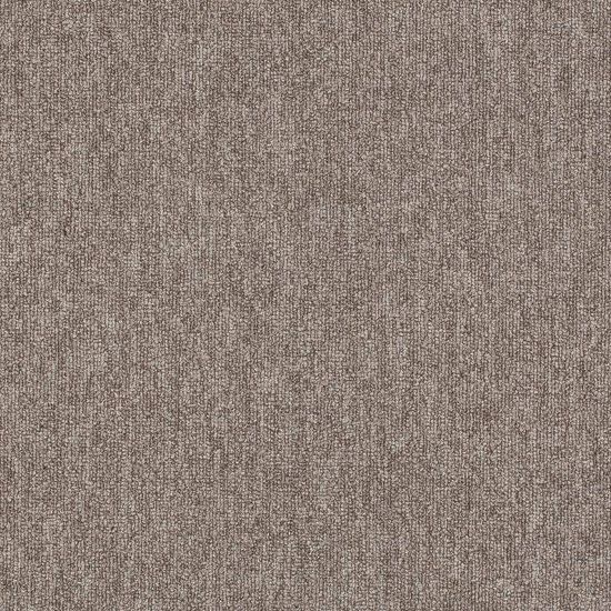 Balsan Avenue "610"