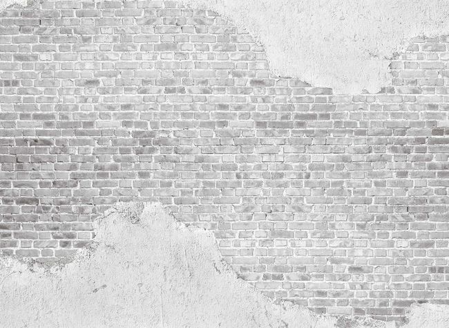 Hellgraue Mauer-Tapete in 3D-Optik | 3,50 x 2,55 m 