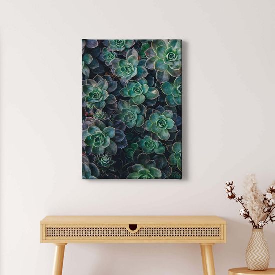 Leinwand DD123120 Succulents A.S. Création