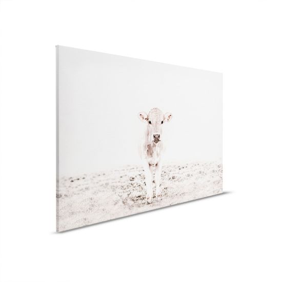 Leinwand Highland Cattle 3 | DD132248