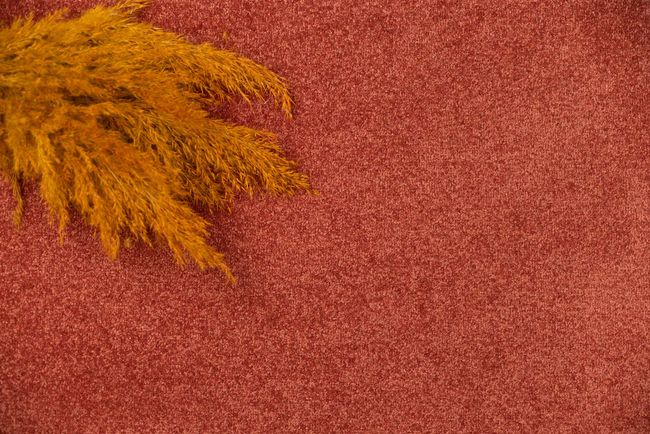 Balsan Scénario "480 Epice"